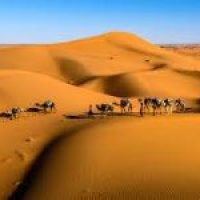 Dubai sands